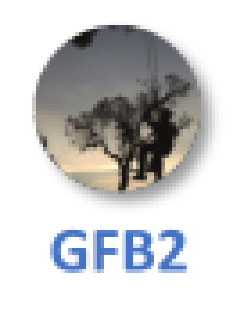 gfb2