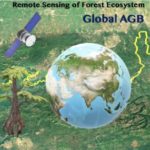 Group logo of [Pending approval] Global forest AGB estimation using SAR remote sensing & AIML
