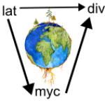 Group logo of The latitudinal tree species diversity gradient is mediated by mycorrhizal turnover